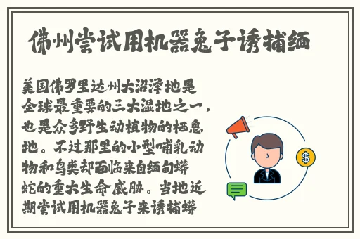 老师黑色**旗袍恩施NBA